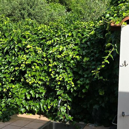 Villa Margherita Maratea Εξωτερικό φωτογραφία